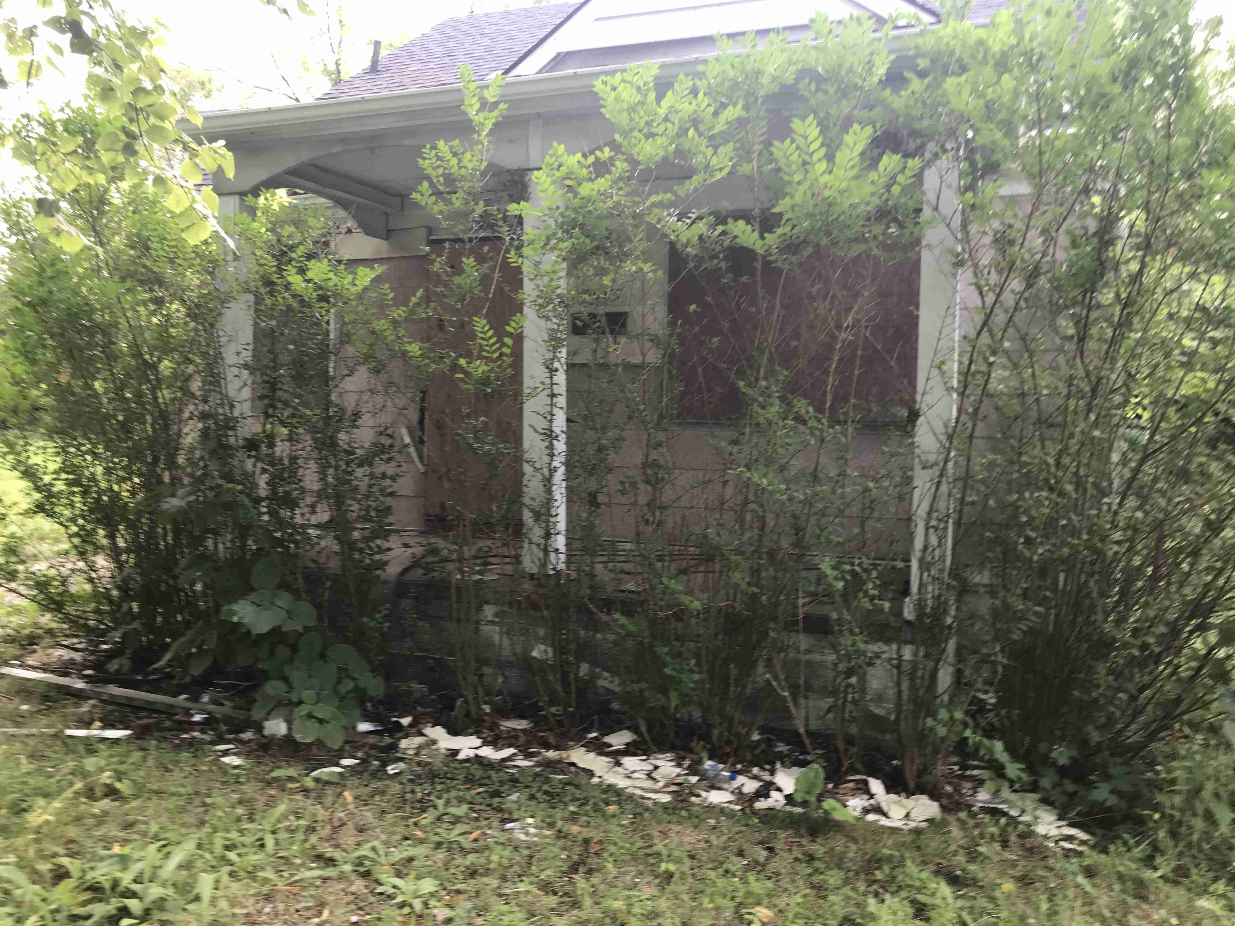 Photo Sep 09, 5 39 39 PM.jpg